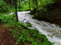 Der Steinbach schäumt in seinem Bachbett